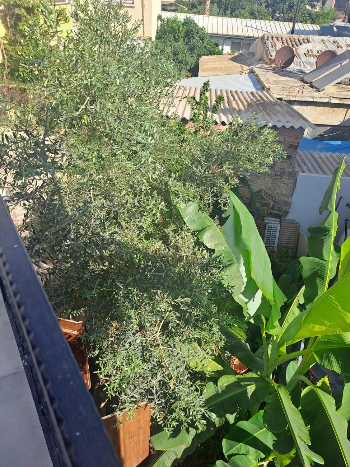 Magic Moon Guest House Famagusta  Exterior foto
