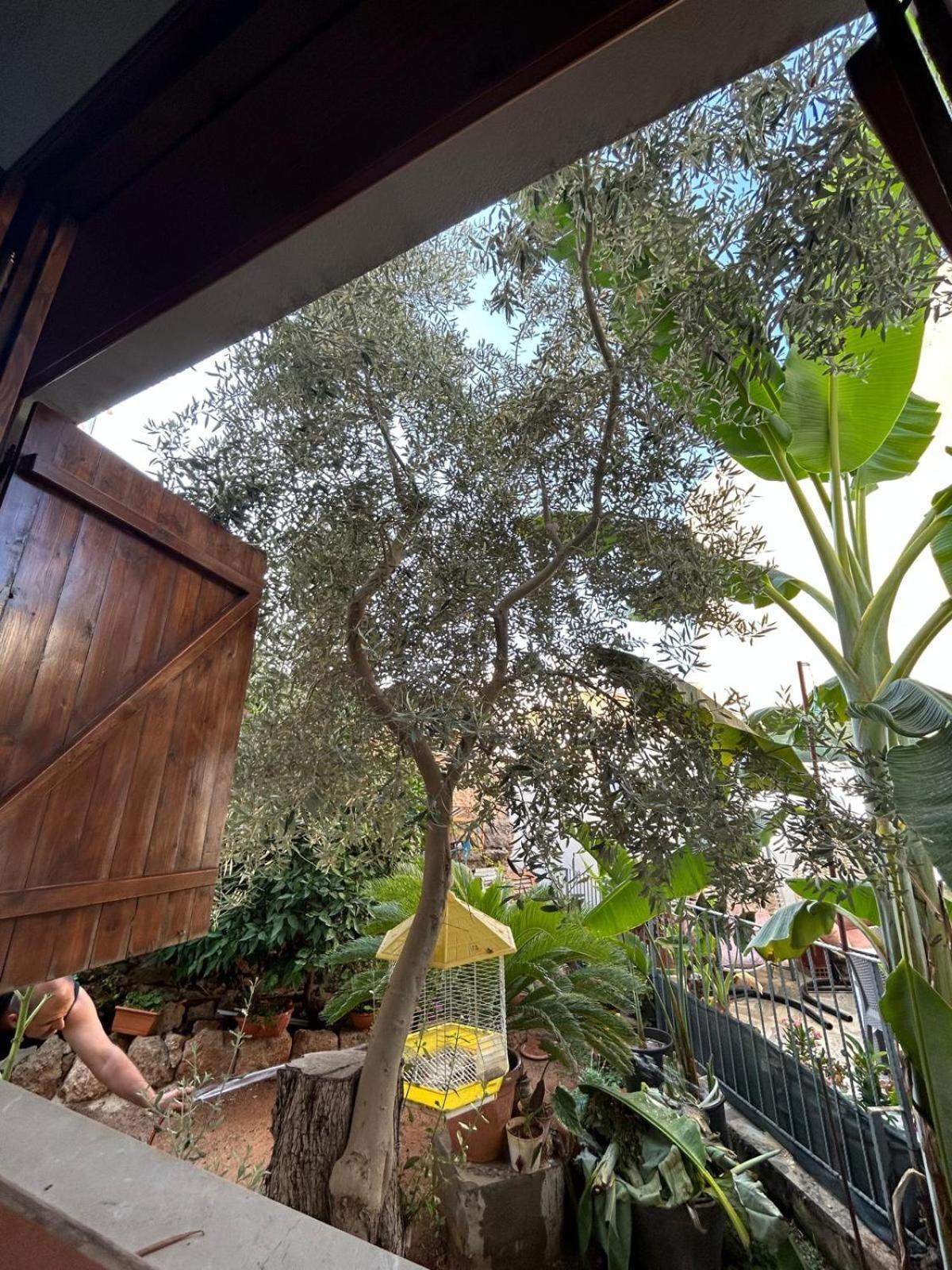 Magic Moon Guest House Famagusta  Exterior foto
